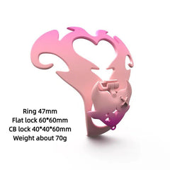 Angel SL25001 47 mm ring and flat and CB lock dimensions