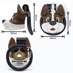 dog cage dimensions