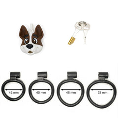 four base rings lock and keys