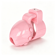Locktober Challenge DomeLock Chastity Cage