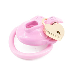 Double Lock Male Chastity Cage