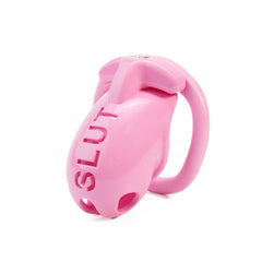 SLUT Humiliation Resin Chastity Cage with Ring-Set Options