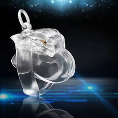 HT-V4 Cage with Binding Loop Ring Male Chastity Device
