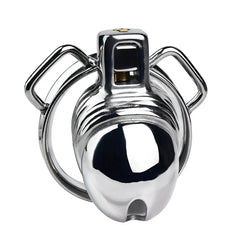 Front view of LKM-065 cage with top lock