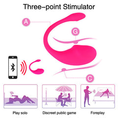 Lalo APP Controlled Vibrator