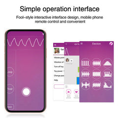 Lalo APP Controlled Vibrator