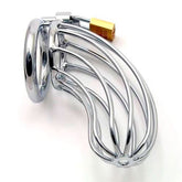 Open-bar steel bird cage chastity device with back ring and brass padlock