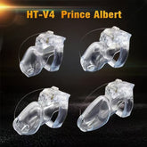 Prince Albert Holy Trainer V4 Chastity Device