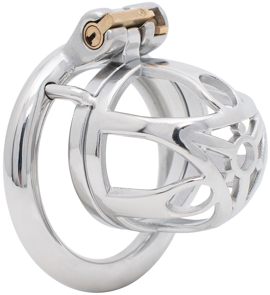 S219 open stainless steel chastity cage small with circular ring