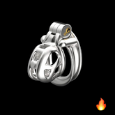 Stainless Steel Cobra Chastity Cage 6.0