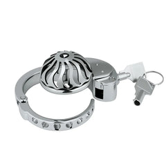 ZC-193 dome metal cage with concealed lock and two keys