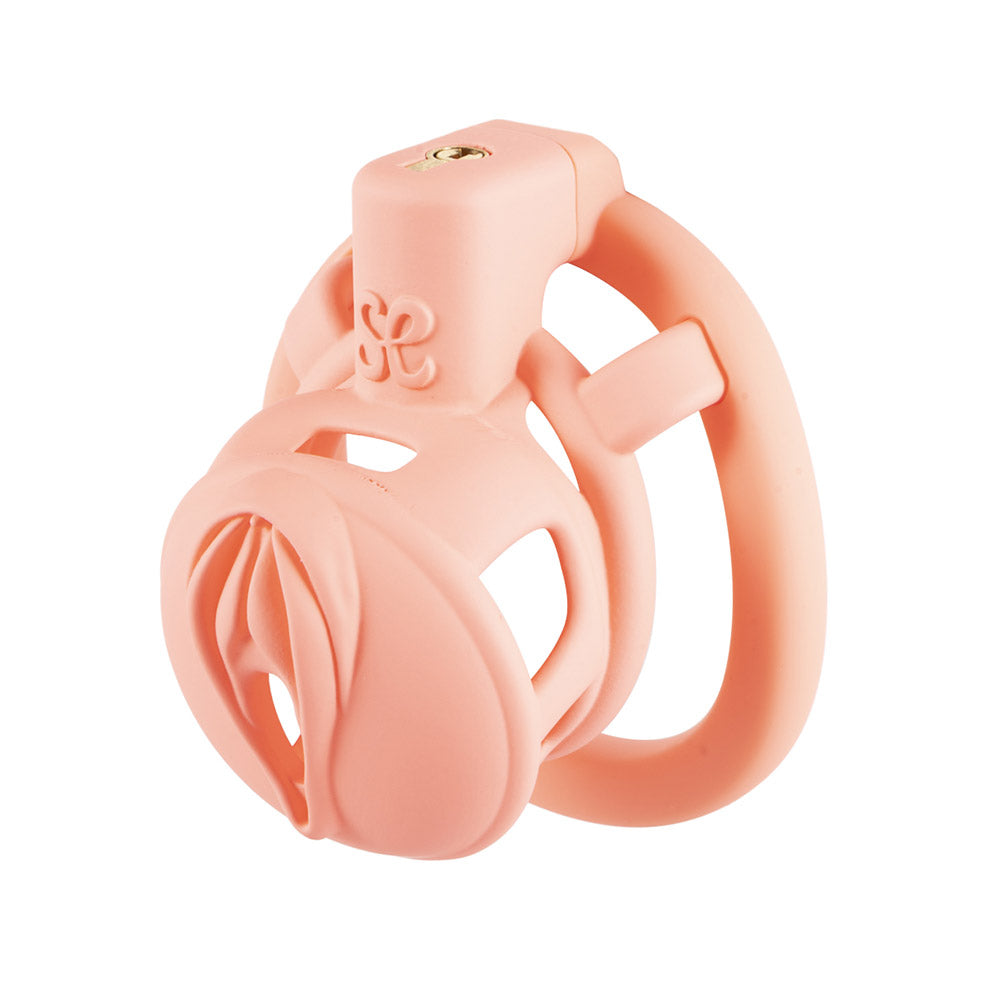 3D Pussy Chastity Cage