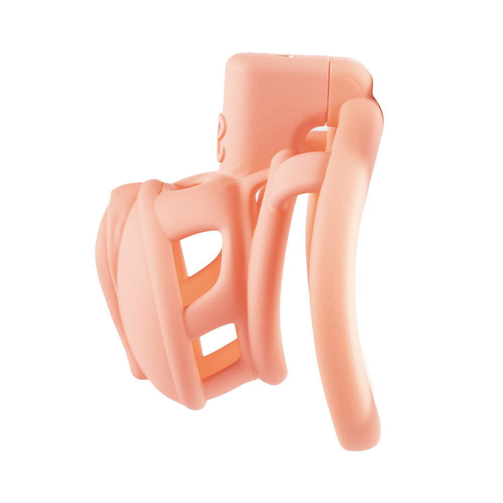 3D Pussy Chastity Cage
