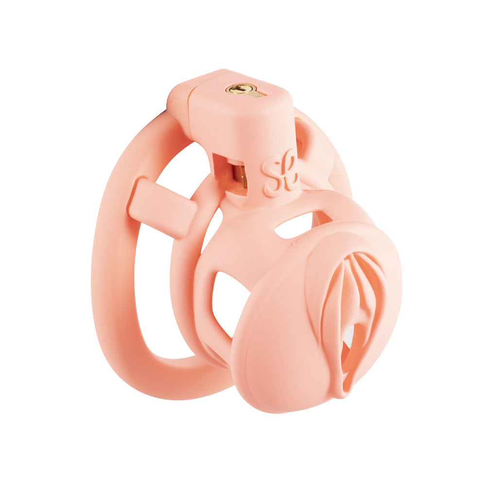 3D Pussy Chastity Cage