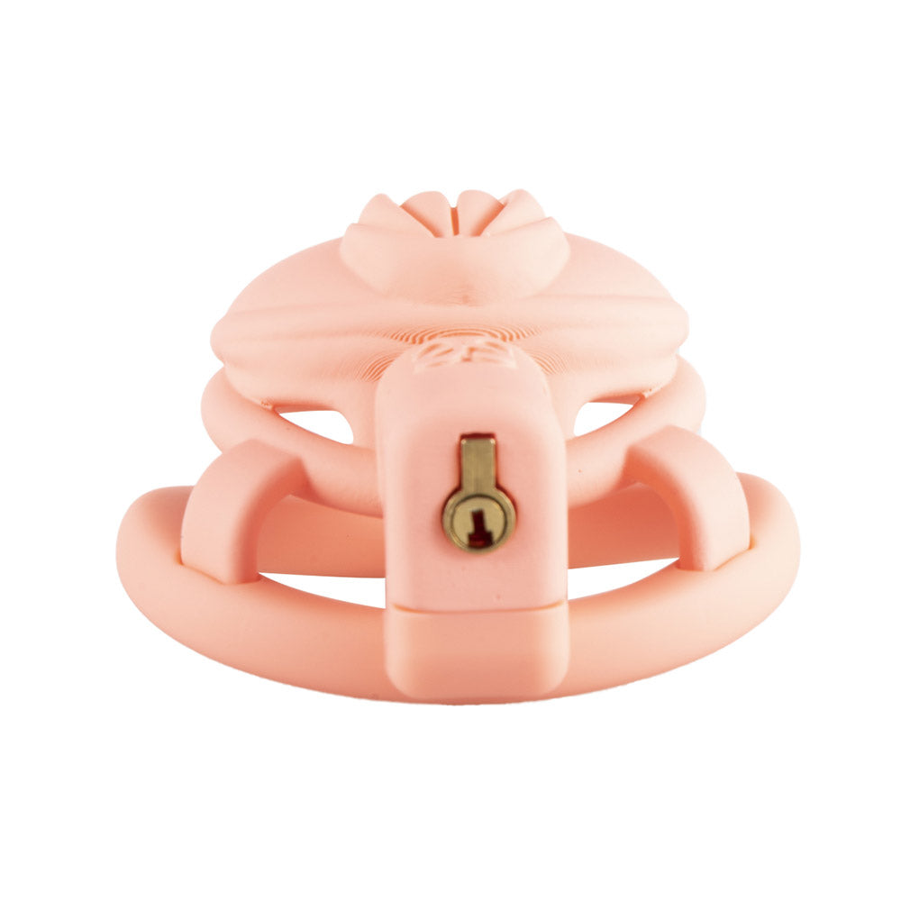 3D Pussy Chastity Cage