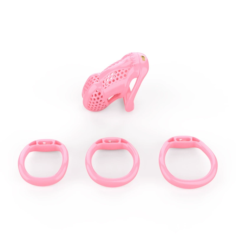 Slave Invisible Chastity Cage