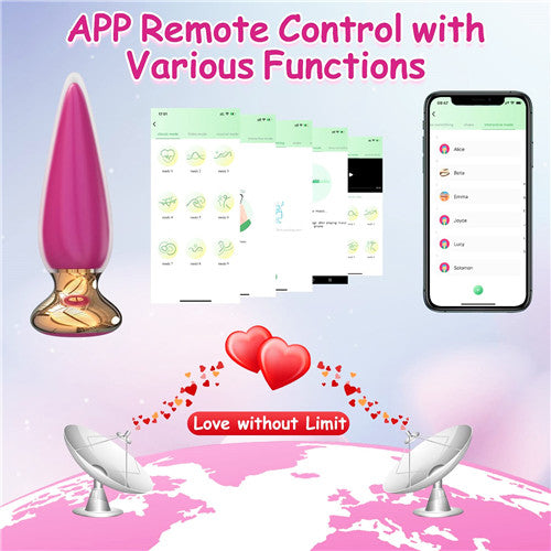 App Remote Control Anal Butt Vibrator