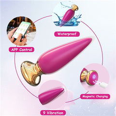 App Remote Control Anal Butt Vibrator