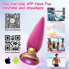App Remote Control Anal Butt Vibrator