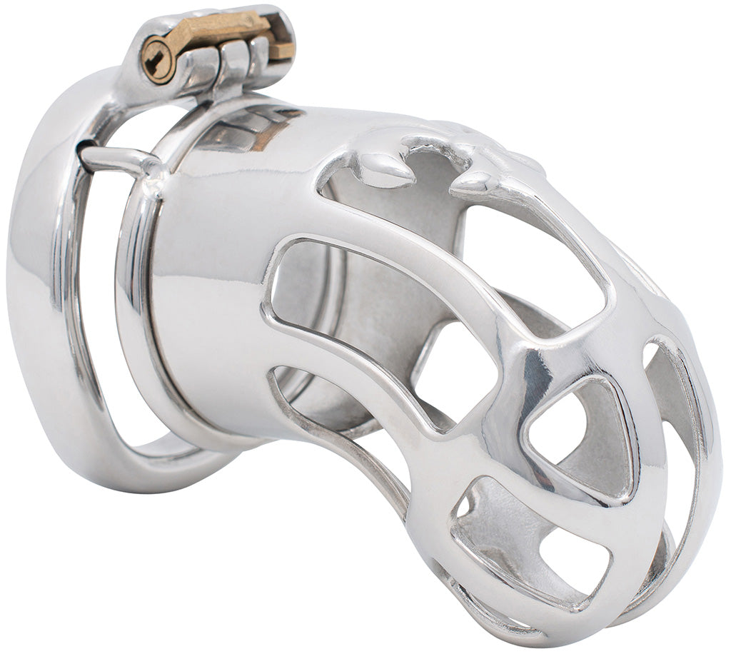 Stainless steel JTS S220 male chastity cage with an ergonomic curved base ring.