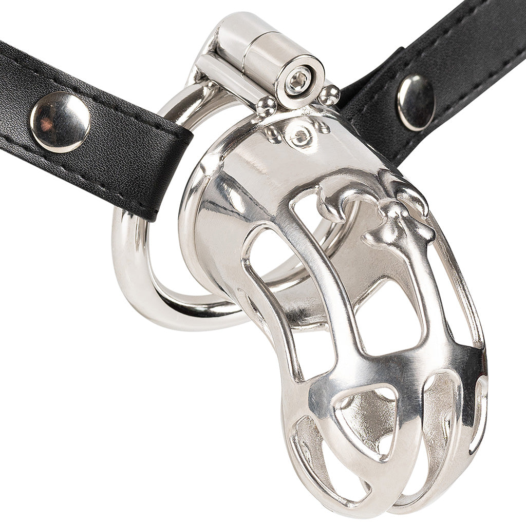 Steel JTS S224