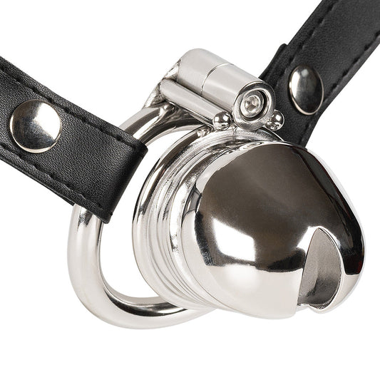 Steel JTS S225