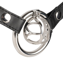 Steel JTS S236
