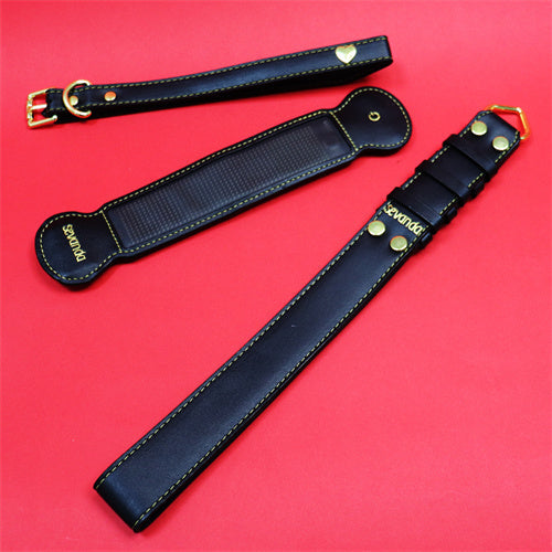 LOCKINK App Controlled Changeable Display Leather LED Collar & Leash Set