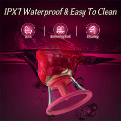 Rose Vibrators with 3 Brush Heads and Removable Cup