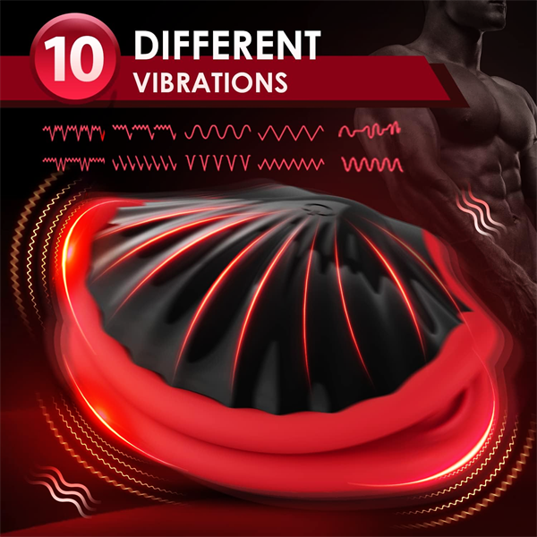 Shell Shape Penis Trainer