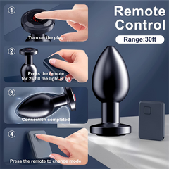 Stainless Steel Anal Vibrator Black