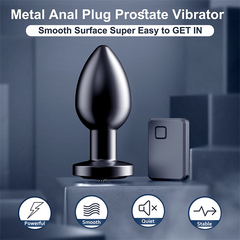 Stainless Steel Anal Vibrator Silver