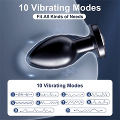 Stainless Steel Anal Vibrator Black