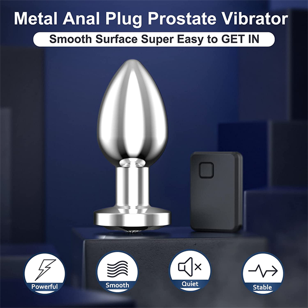 Stainless Steel Anal Vibrator Rainbow