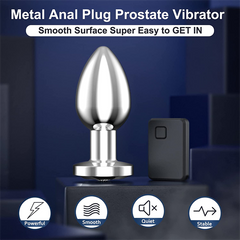 Stainless Steel Anal Vibrator Silver