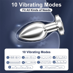 Stainless Steel Anal Vibrator Rainbow