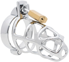 HoD300 Steel