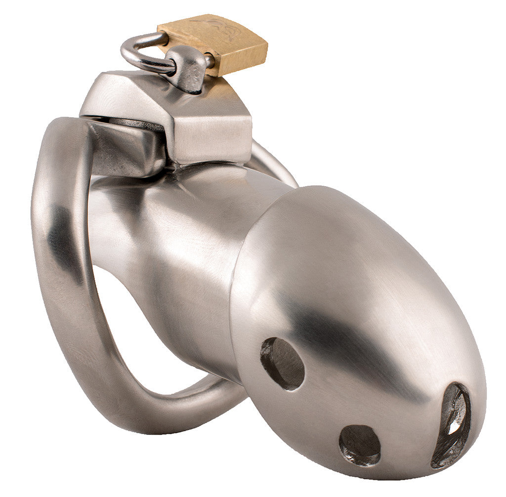 Steel Holy Trainer V1