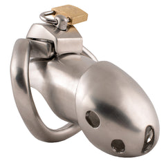 Steel Holy Trainer V1