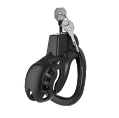 Discreet Mastery with Invisible Lock