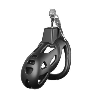 Discreet Mastery with Invisible Lock