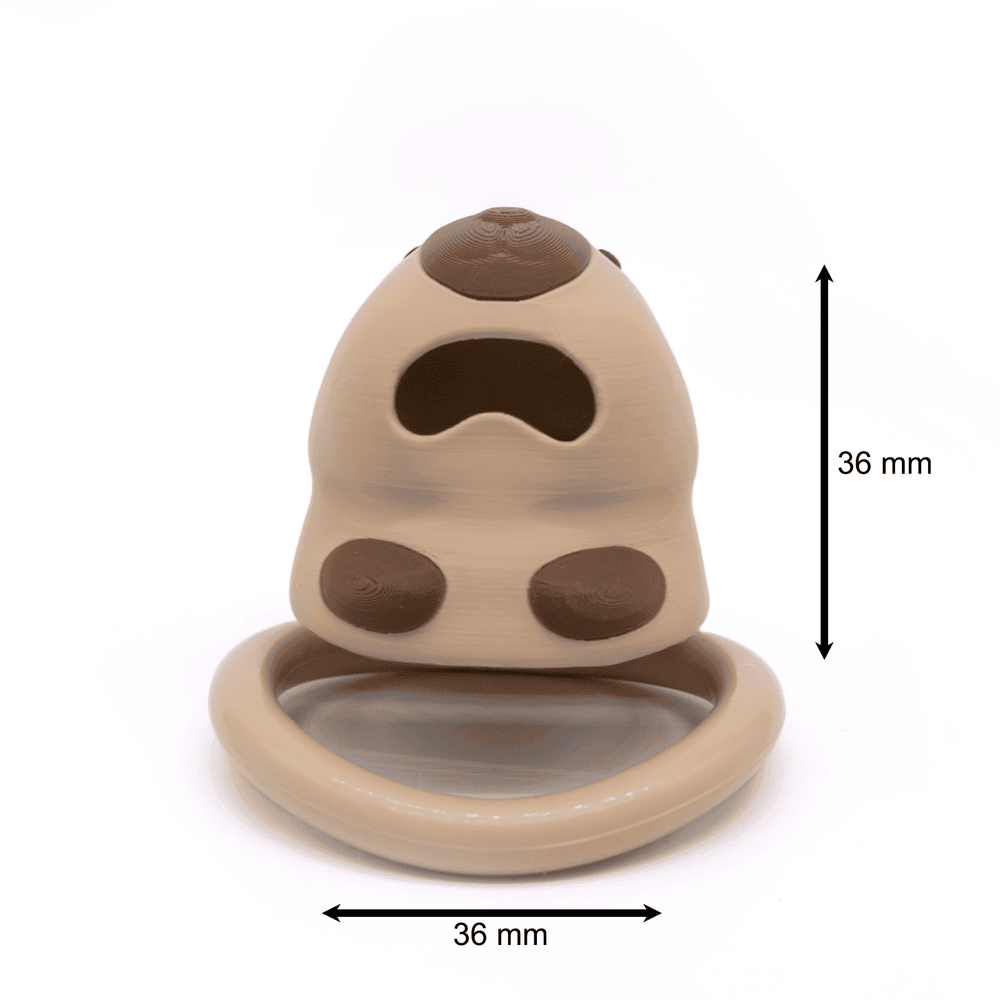 36mm capybara cage measurement