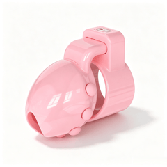 Locktober Challenge DomeLock Chastity Cage