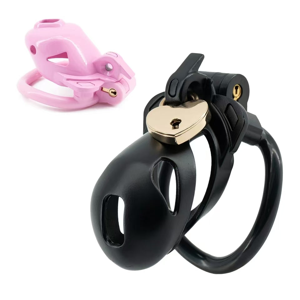 Double Lock Male Chastity Cage