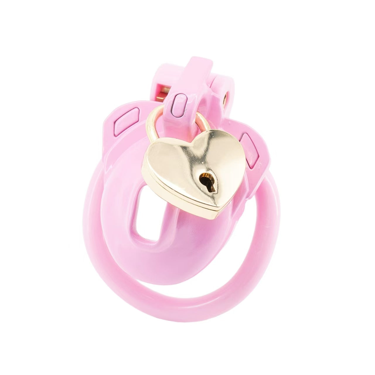 Double Lock Male Chastity Cage