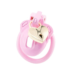 Double Lock Male Chastity Cage