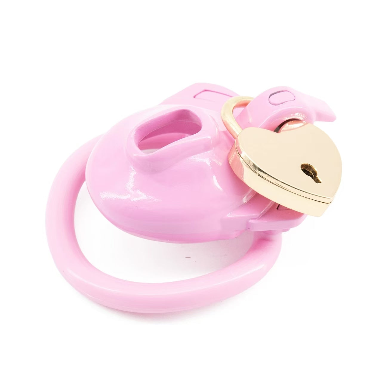 Double Lock Male Chastity Cage