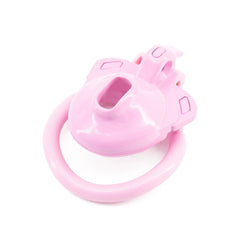 Double Lock Male Chastity Cage