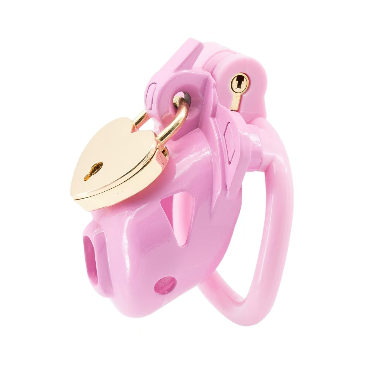 Double Lock Male Chastity Cage