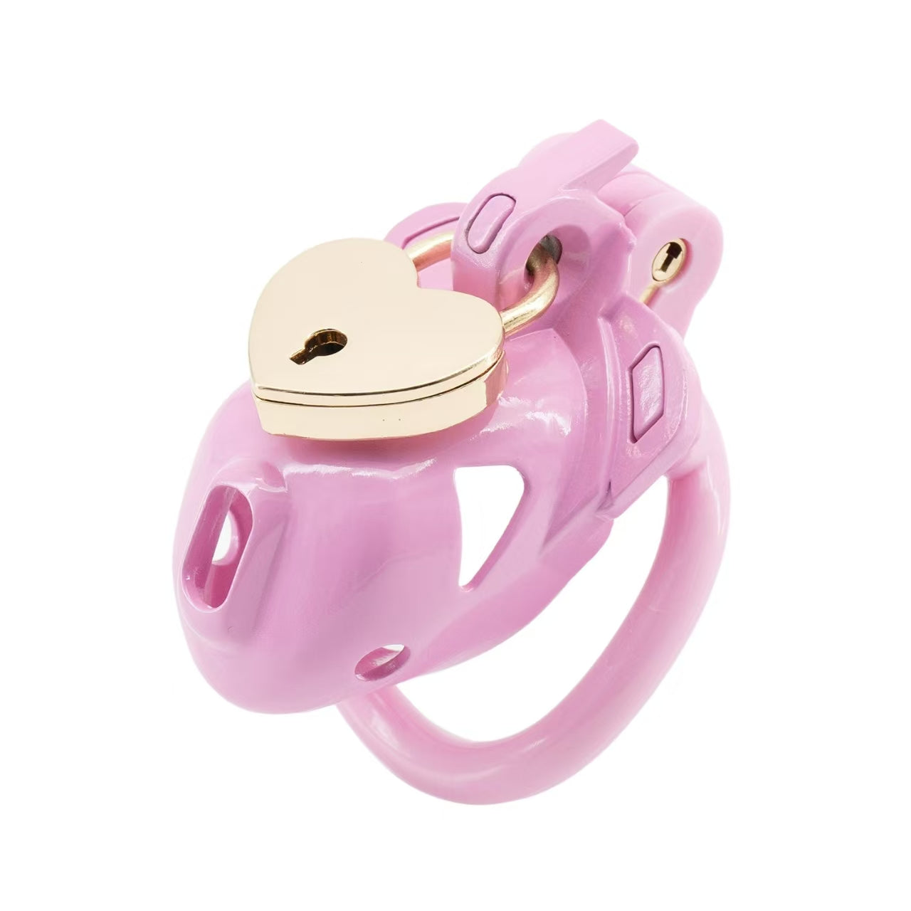 Double Lock Male Chastity Cage